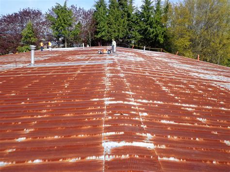 sheet metal roof rust|coating over rusty metal roofing.